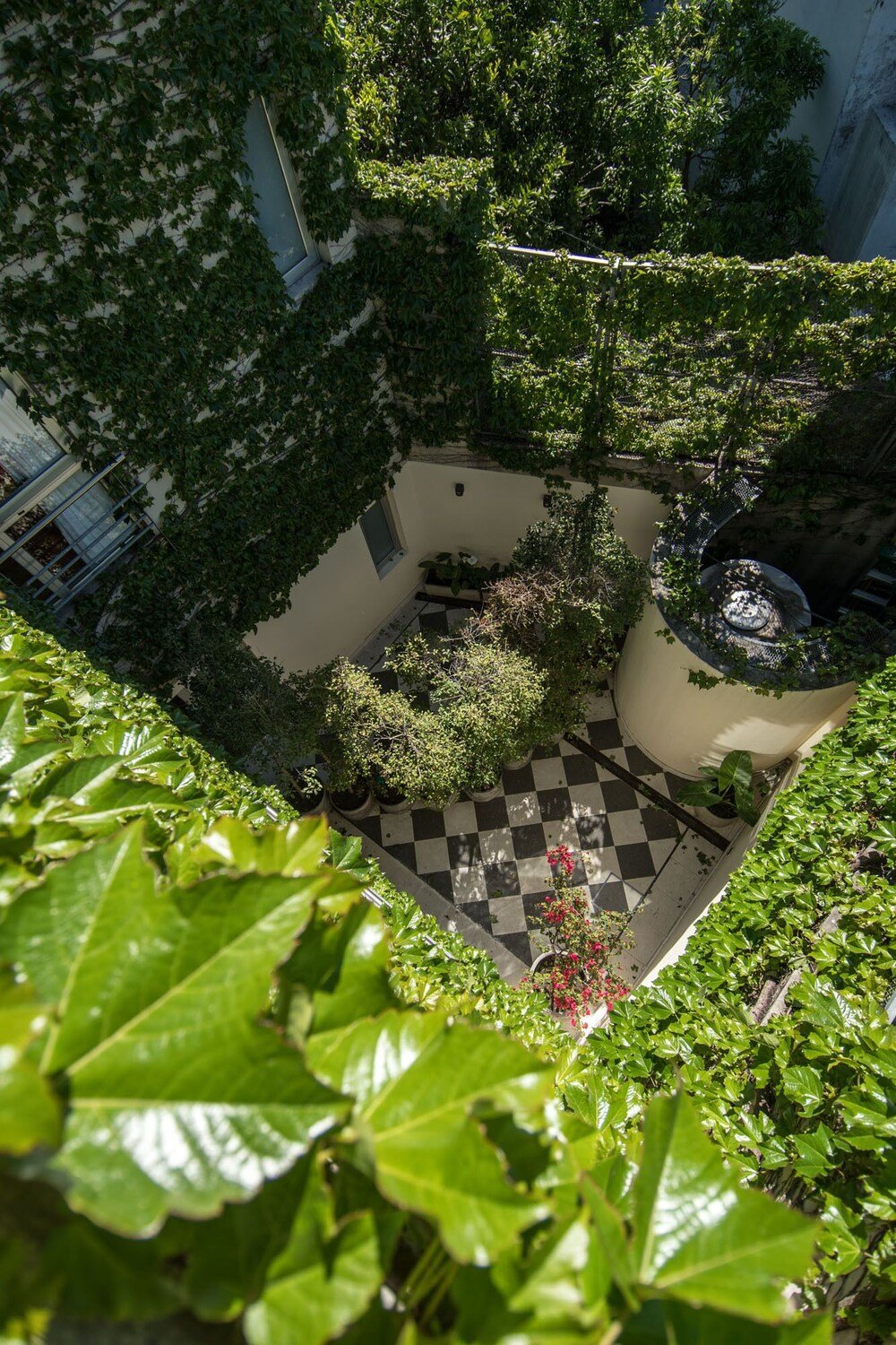 Courtyard with a checkered floor at Magnolia Hotel Boutique